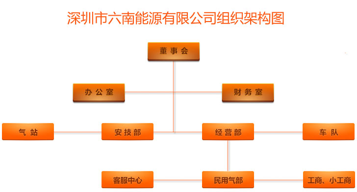 深圳市六南能源有限公司組織架構圖